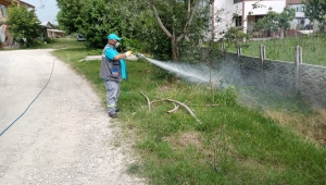 Mahallelerde İlaçlama Sürüyor