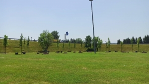 Şehir Çiçek Açıyor