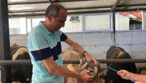 Kurban Kesim Yerlerine Denetim