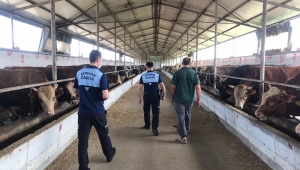 Kurban Satış ve Kesim Yerleri Denetleniyor