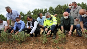 Melen Botanik Vadisi'nde İlk Hasat Yapıldı