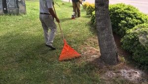 Park Bahçeler Çalışıyor, Sapanca Güzelleşiyor