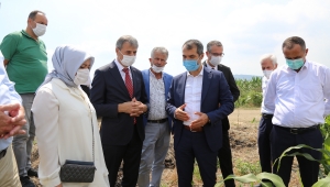 Bakanlık Gökçeören Ovası’nı İnceledi