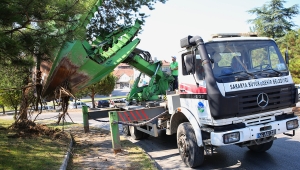 Büyükşehir O Proje Sahasındaki Ağaçları Koruma Altına Alıyor