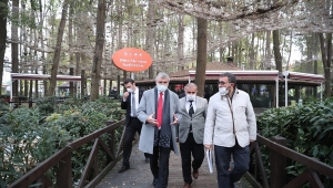 Orman Park'ta restorasyon çalışmaları devam ediyor
