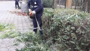 Sapanca'da Park Bahçelerden Güz Çalışması