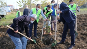Serdivan'da Meyve Bahçeleri