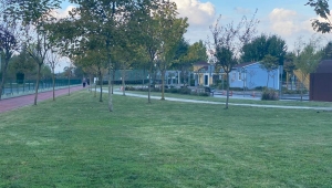 Serdivan'da Sonbahar Temizliği