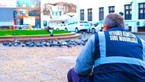 Büyükşehir Sokağa çıkma kısıtlamasında sokak hayvanları unutmuyor