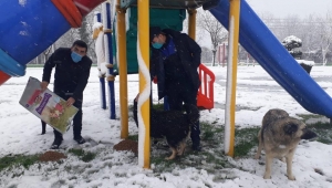 Sapanca Belediyesi Sokak Hayvanlarını Unutmadı