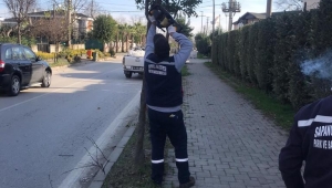 Sapanca'da Mevsimsel Bakım