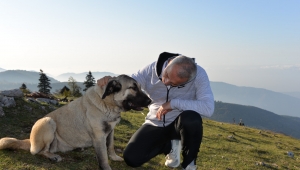 200 Can Dosta Yeni Yuva