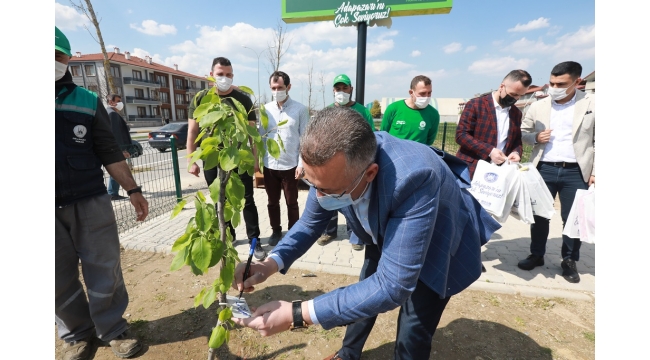 Çocuk Parklarına Meyve Fidanı Dikiliyor