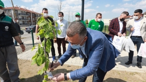 Çocuk Parklarına Meyve Fidanı Dikiliyor