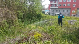 Sapanca’da Hazırlıklar Devam Ediyor