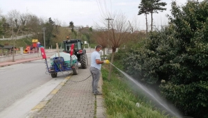 Belediye Ekipleri Sivrisinek ve Haşereye Karşı İlaçlama Yapıyor