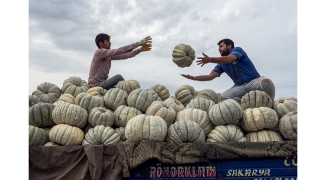 ‘Sakarya Bir Başka’ fotoğraf yarışmasında sonuçlar açıklandı