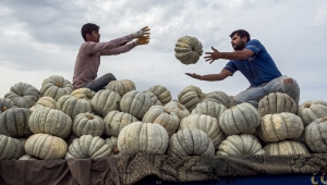 ‘Sakarya Bir Başka’ fotoğraf yarışmasında sonuçlar açıklandı