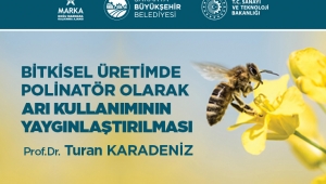 Bitkisel üretimde arı kullanımının yaygınlaşması için eğitimler verilecek