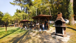 Sakarya’nın Cenneti: Büyükşehir İl Ormanı