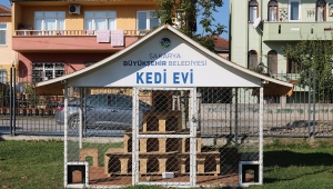Büyükşehir Belediyesi’nden Kedi Evleri