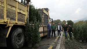 Sakarya’da Üretilen Fidanlar, Türkiye’nin Her Yanına Gönderilecek