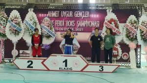 Arifiye’li Boksörler Ringlerde Fırtına Gibi Esti…