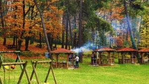 İl Ormanı’nda Sonbahar Bir Başka