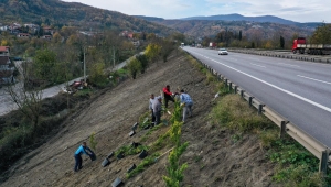 Sapanca’da Ses Perdesi Projesine Başlandı