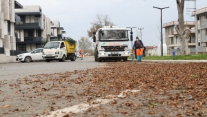Serdivan Belediyesi’nden Sonbahar Mesaisi