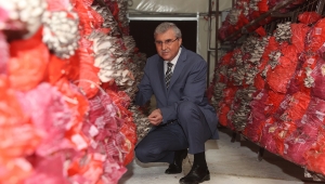 Yılda 4 Hasat Yapılıp 16-20 Ton Arası Mantar Üretilecek