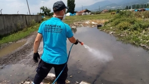Büyükşehir Vektörlerle Mücadeleyi Yıl Boyu Sürdürüyor