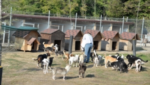 Can Dostlarımıza Kucak Açıyoruz