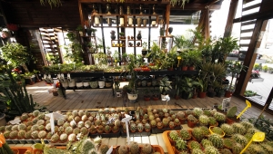 Sakarya BAHÇEM’i Çok Sevdi