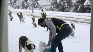 Sokak Hayvanları Unutulmadı