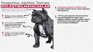 Tehlikeli Irklar İçin Son Gün 14 Ocak