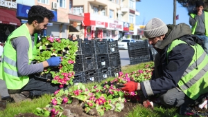 Şehrin Sokakları Rengârenk Bir Çiçek Bahçesine Dönüşüyor