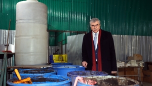 Solucan Gübresi İle Sakarya’nın Bereketli Topraklarının Verimini Artıracağız
