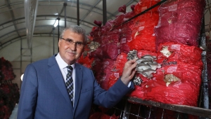 Yüce’den Proje Müjdesi: Türkiye’nin En Kaliteli Mantarlarını Üreteceğiz