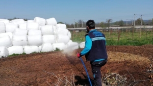 Sapanca’da Larva İlaçlama Çalışmasına Başlandı