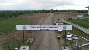 Fermalı Av Köpekleri Mera Ve Güzellik Yarışması Başlıyor