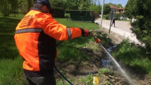 Sapanca’da Larva için Erken Önlem