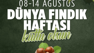 Sakarya’da Dünya Fındık Haftası İçin Büyük Organizasyon