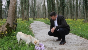 Akyazı Belediyesi’nden Çocuklar İçin Yarışma