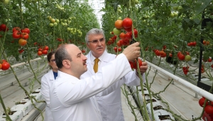 Bakan Varank'tan Büyükşehir'e tam not: