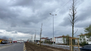 Büyükşehir’den Şehit İlhan Aras’ta İlkbahar Dokunuşu
