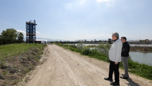 Büyükşehir Mantar Üretiminde Vites Yükseltti