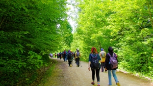 Doğaseverler Akyazı Yörükyeri’nde Yürüdü