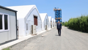 Lezzet Harikası ‘İstiridye Mantarı’ Büyükşehir Eliyle Sofraya Geliyor: “Sakarya Mantar Üssü Olacak”