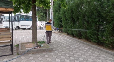 Akyazı Belediyesi'nden Sinek Ve Larva İle Mücadele